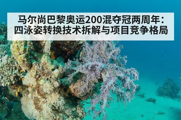 马尔尚巴黎奥运200混夺冠两周年：四泳姿转换技术拆解与项目竞争格局