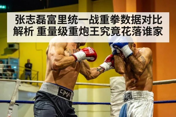 张志磊富里统一战重拳数据对比解析 重量级重炮王究竟花落谁家