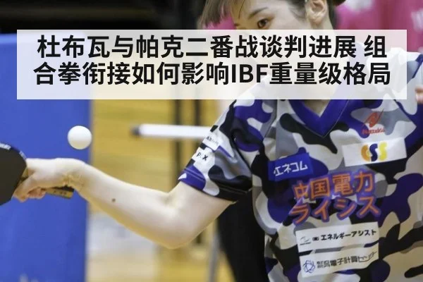 杜布瓦与帕克二番战谈判进展 组合拳衔接如何影响IBF重量级格局